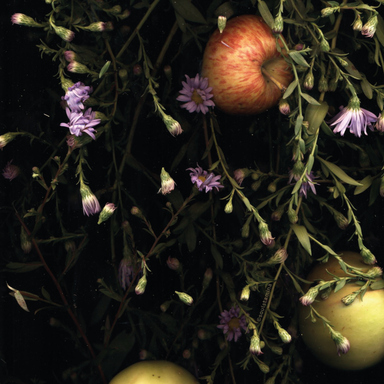 СКАНОГРАФИЯ. Soulstamina ~ graphic designer & visual artist from St.Petersburg