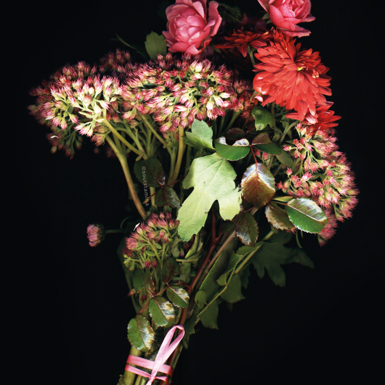 СКАНОГРАФИЯ. Soulstamina ~ graphic designer & visual artist from St.Petersburg