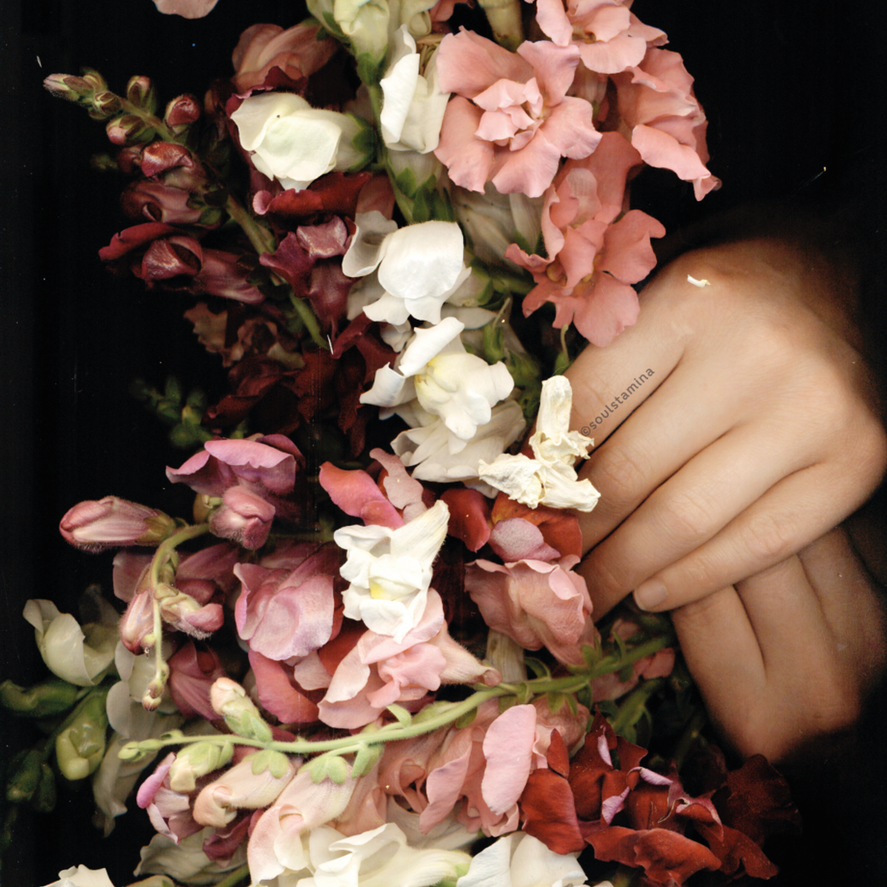 СКАНОГРАФИЯ. Soulstamina ~ graphic designer & visual artist from St.Petersburg