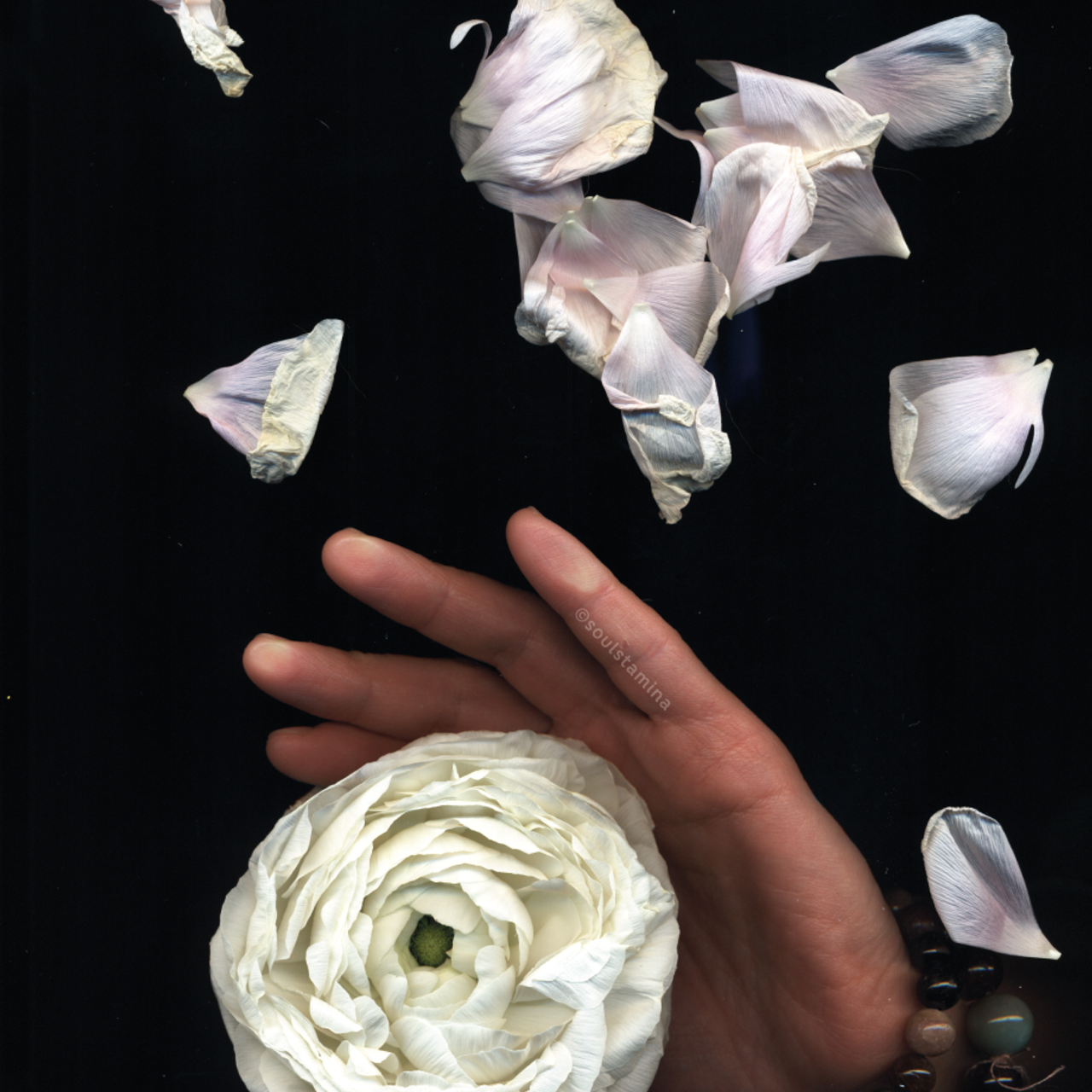 СКАНОГРАФИЯ. Soulstamina ~ graphic designer & visual artist from St.Petersburg