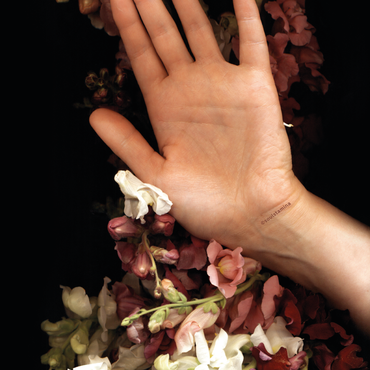 СКАНОГРАФИЯ. Soulstamina ~ graphic designer & visual artist from St.Petersburg