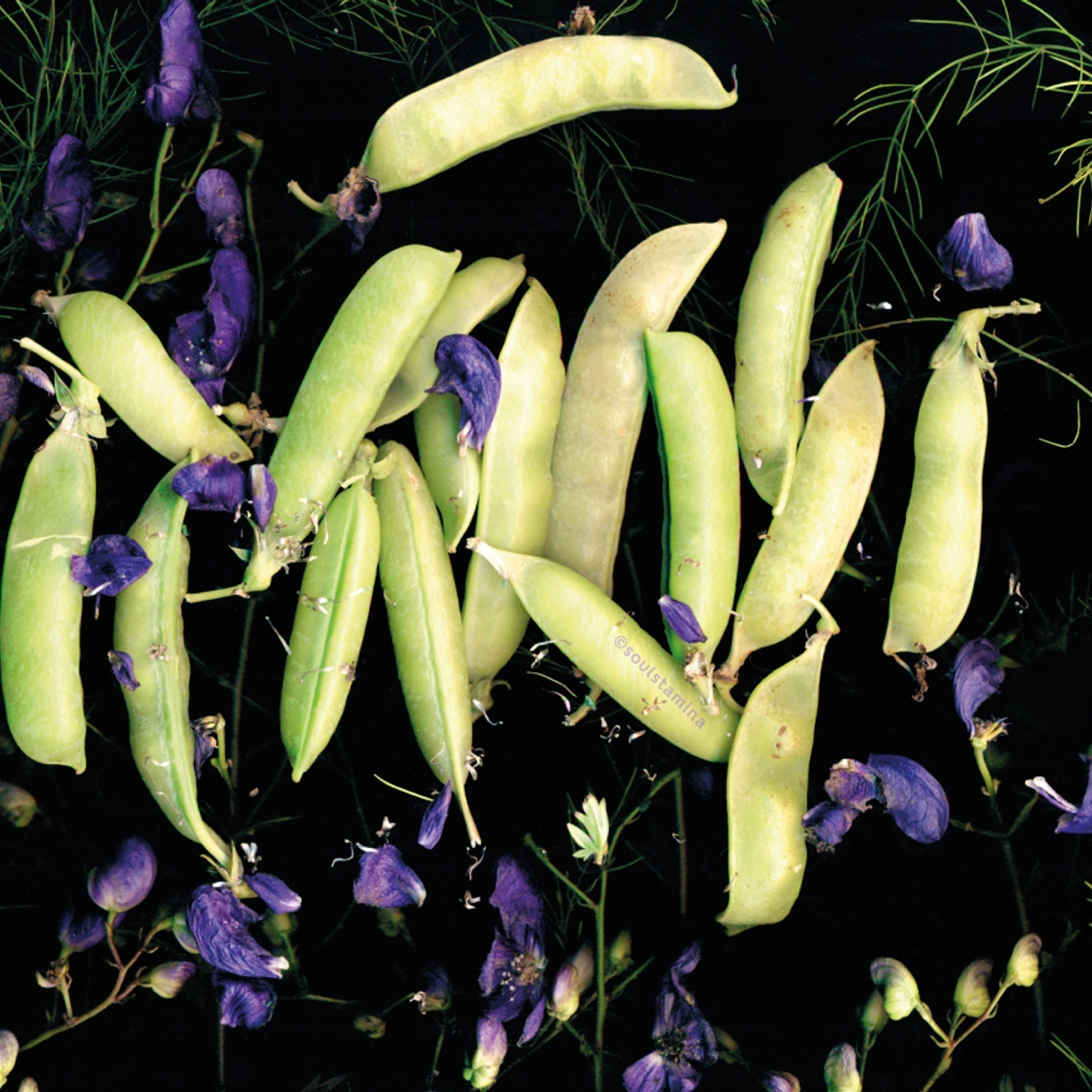 СКАНОГРАФИЯ. Soulstamina ~ graphic designer & visual artist from St.Petersburg