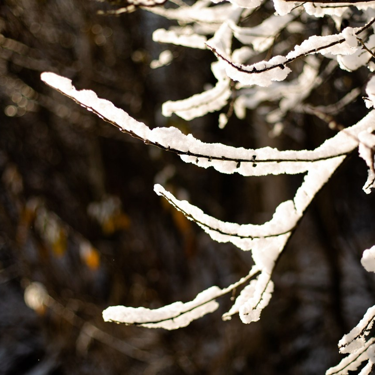 Отзывы. Портретный фотограф в Москве и Геленджике Кирилл Вахитов