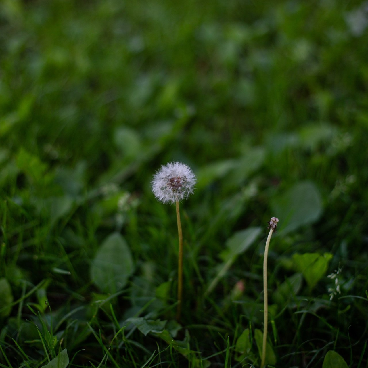 Отзывы. Портретный фотограф в Москве и Геленджике Кирилл Вахитов
