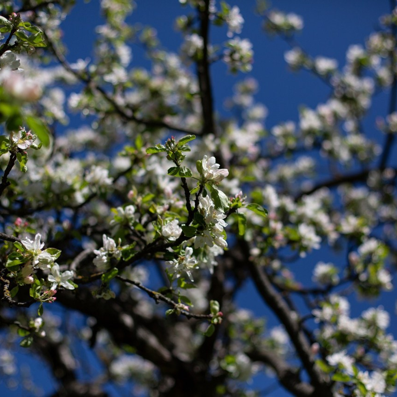 Отзывы. Портретный фотограф в Москве и Геленджике Кирилл Вахитов