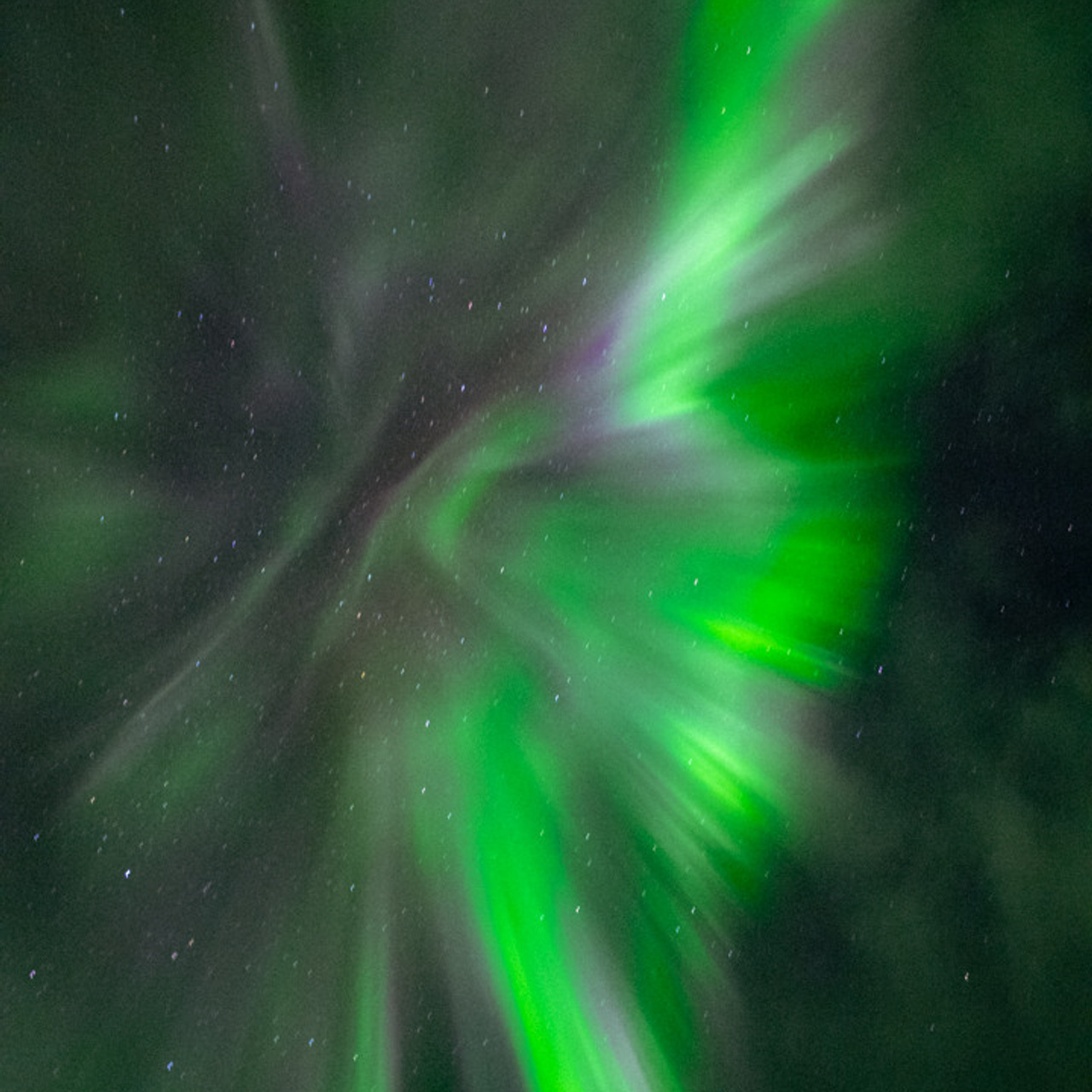 ТЕРИБЕРКА СИЯЕТ!