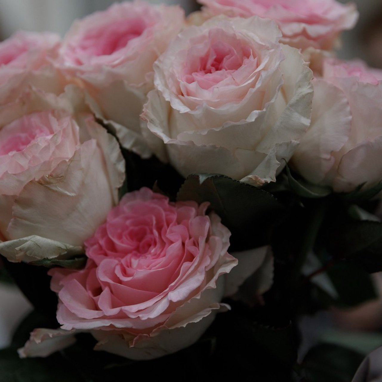 Отзывы. Привет! Я Анна Крайник. Фотограф ваших событий в Выксе и не только