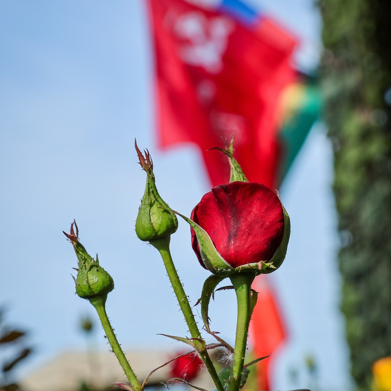 Отзывы. Школьный фотограф в Краснодаре Дидик Ольга