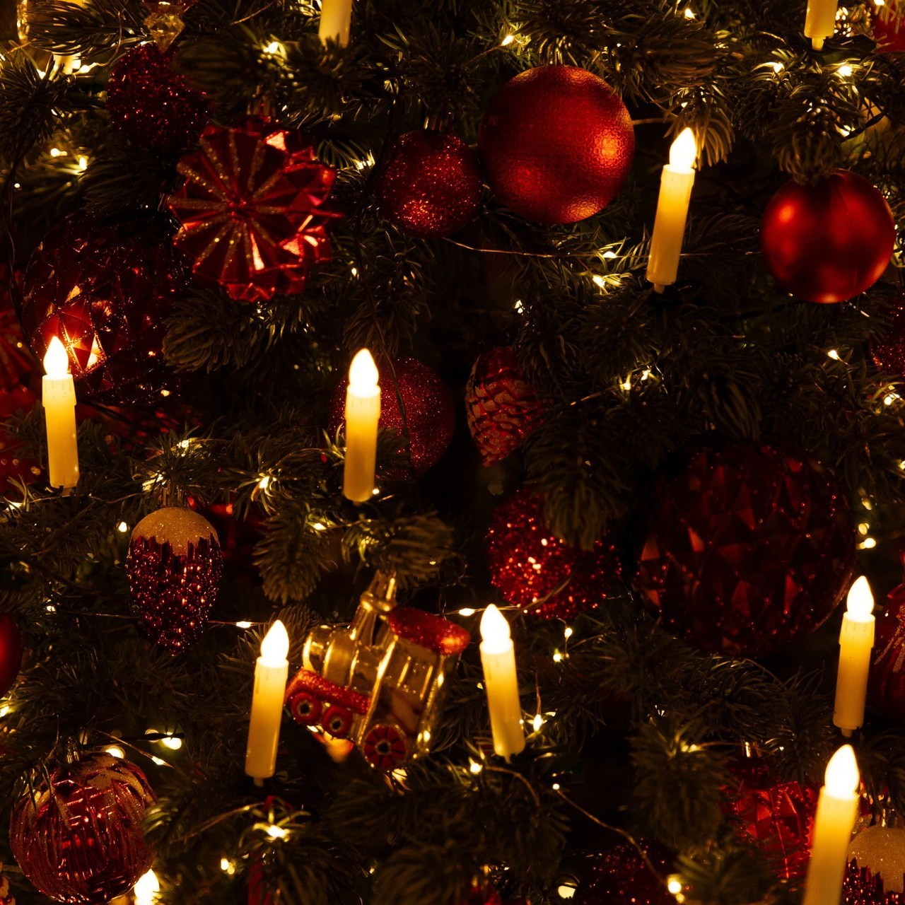 Отзывы о фотографе. Фотограф в Новосибирске и Москве