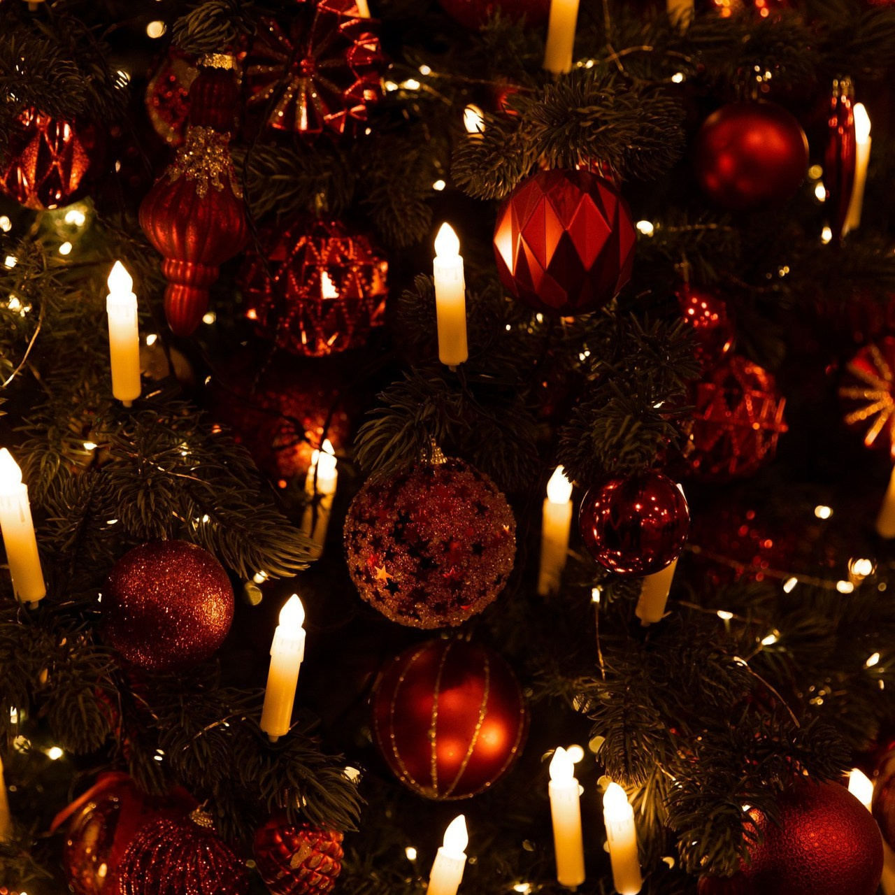 Отзывы о фотографе. Фотограф в Новосибирске и Москве