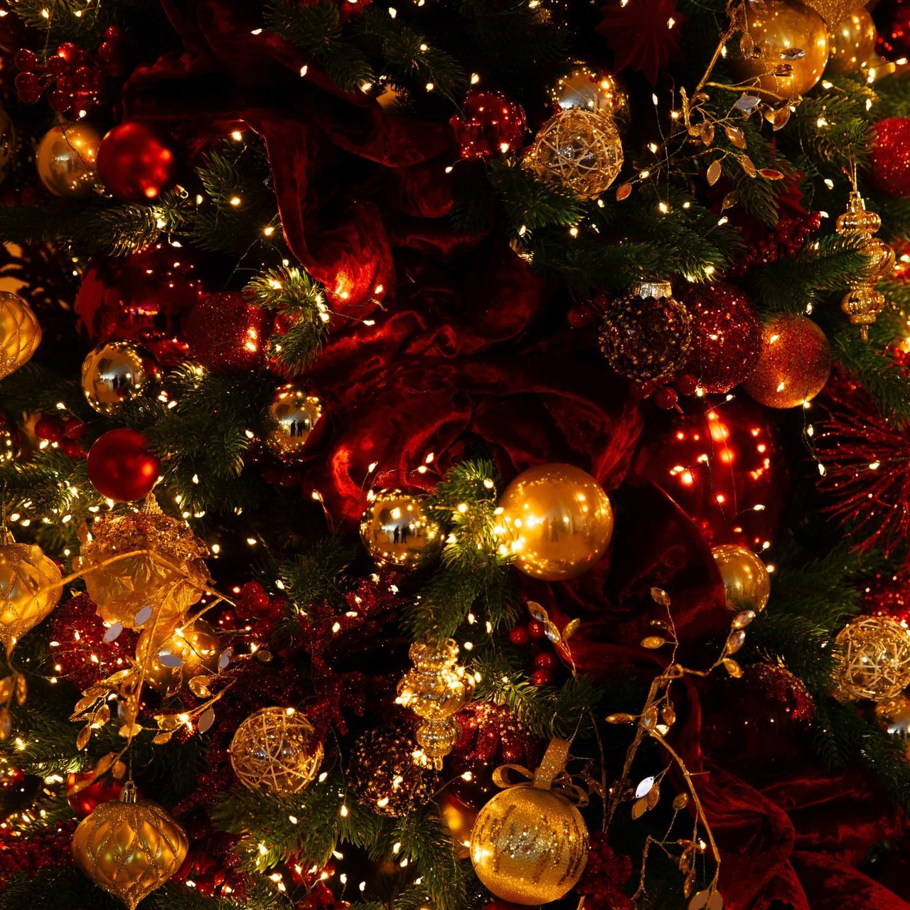 Отзывы о фотографе. Фотограф в Новосибирске и Москве