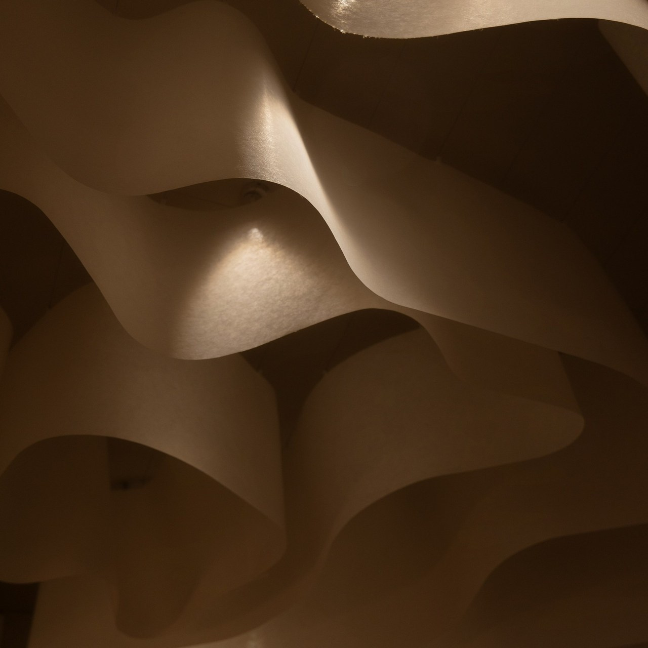 Отзывы о фотографе. Фотограф в Новосибирске и Москве