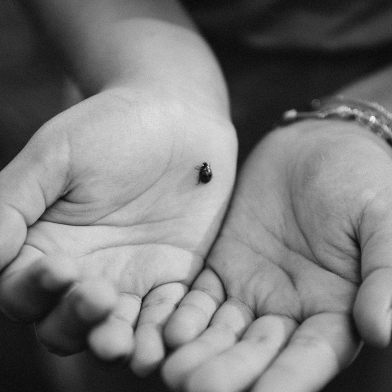 Отзывы. Репортажный и детский фотограф в Минске