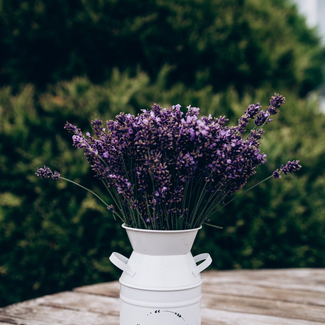 Отзывы. Репортажный и детский фотограф в Минске