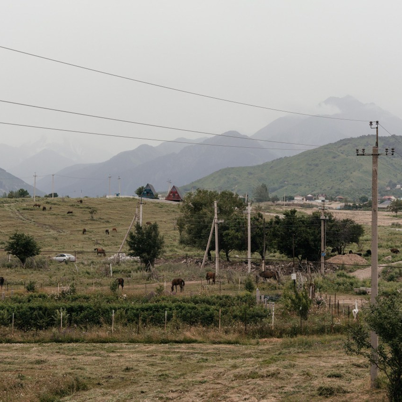 Отзывы. Свадебный фотограф — Азамат Нусипбеков