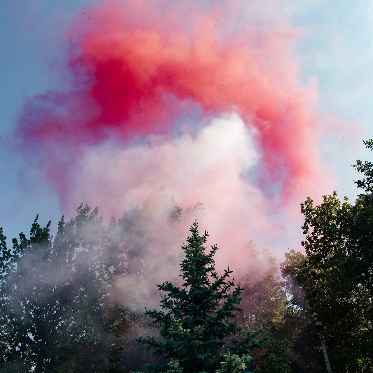 Отзывы. Свадебный фотограф — Азамат Нусипбеков