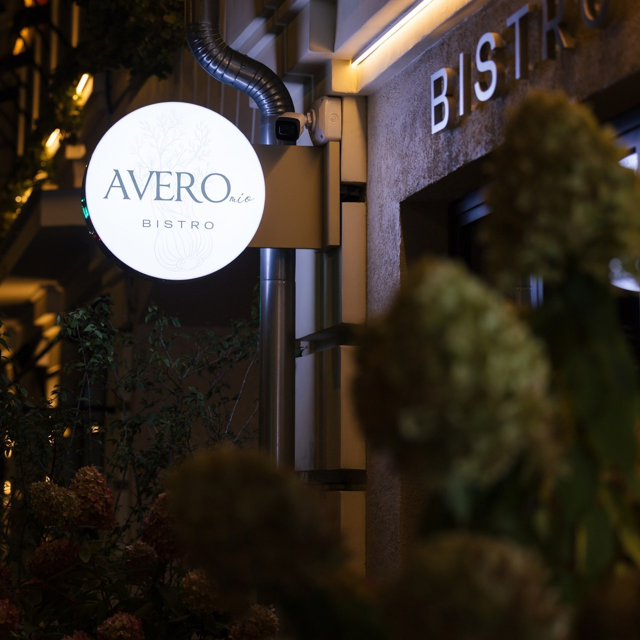 Отзывы. Главная