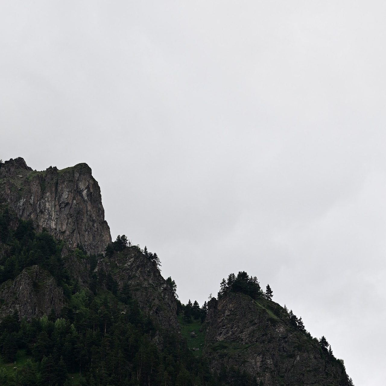 Отзывы. Репортажный фотограф Иван Порошин