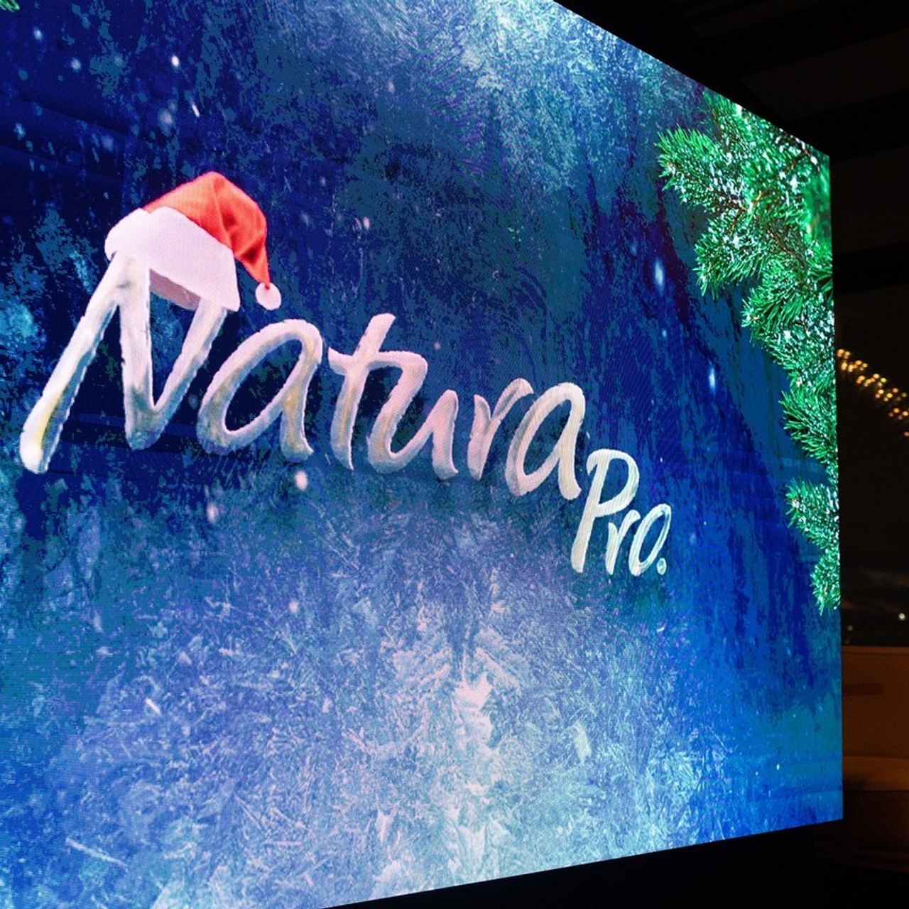 Отзывы. Night2Day Санкт-Петербург