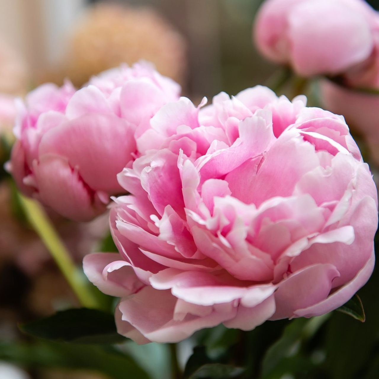 Отзывы. Свадебный, семейный фотограф в СПб Татьяна Игнашева. Выпускные альбомы