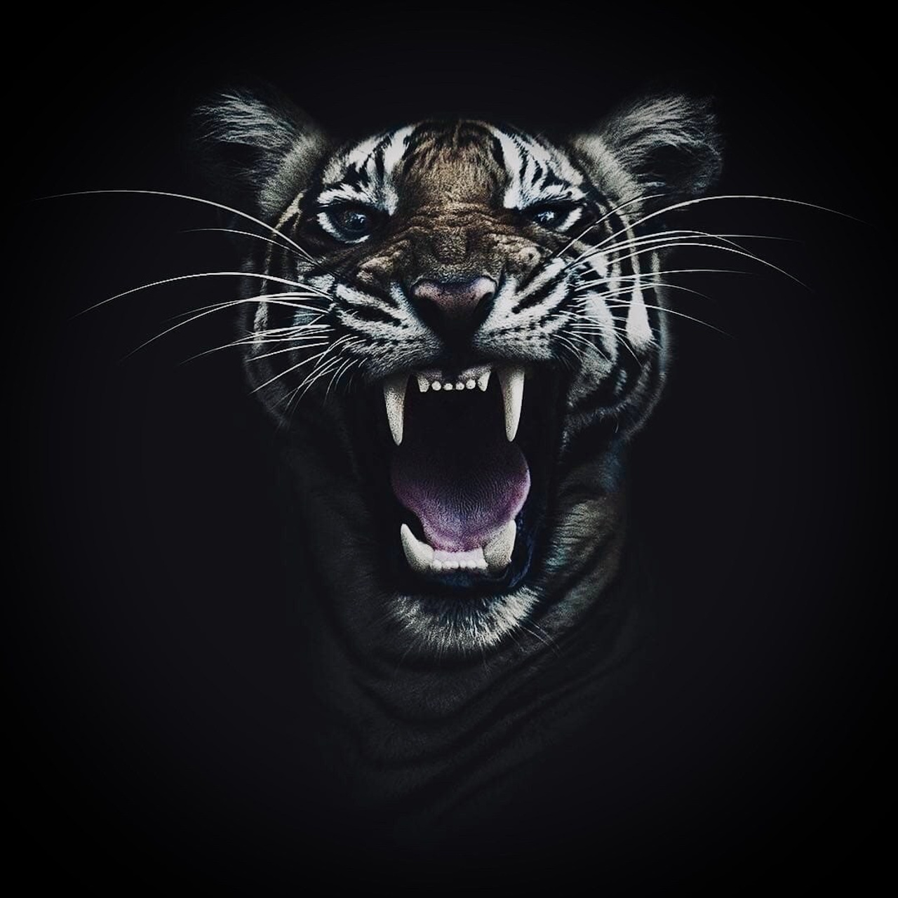 Отзывы. Фотограф Ялуторовск/Тюмень Колесникова Анна