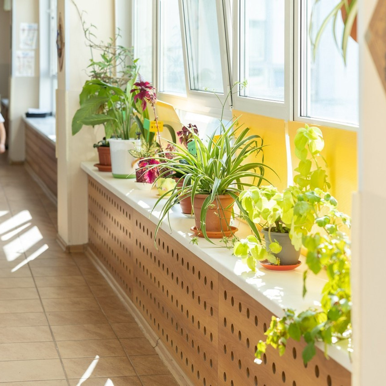 Отзывы. Классный фотограф, по мнению школьников