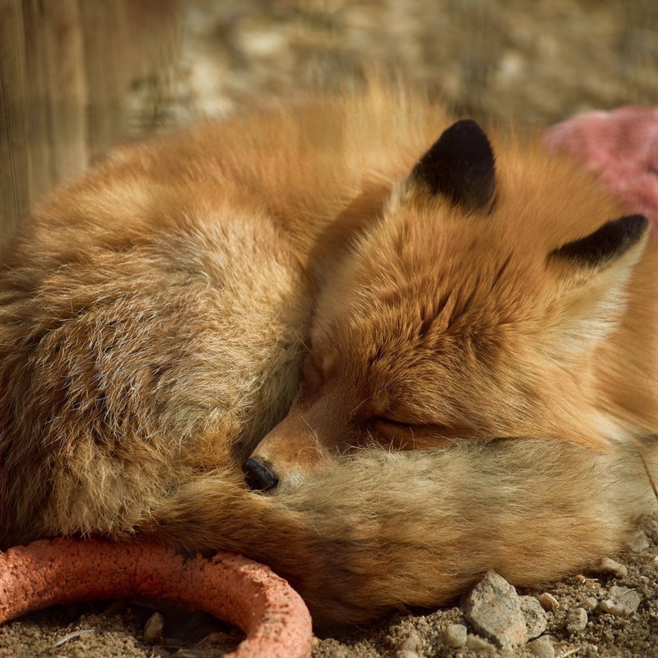 Отзывы о Моих Снимках - Жунин Александр Фотограф Челябинск