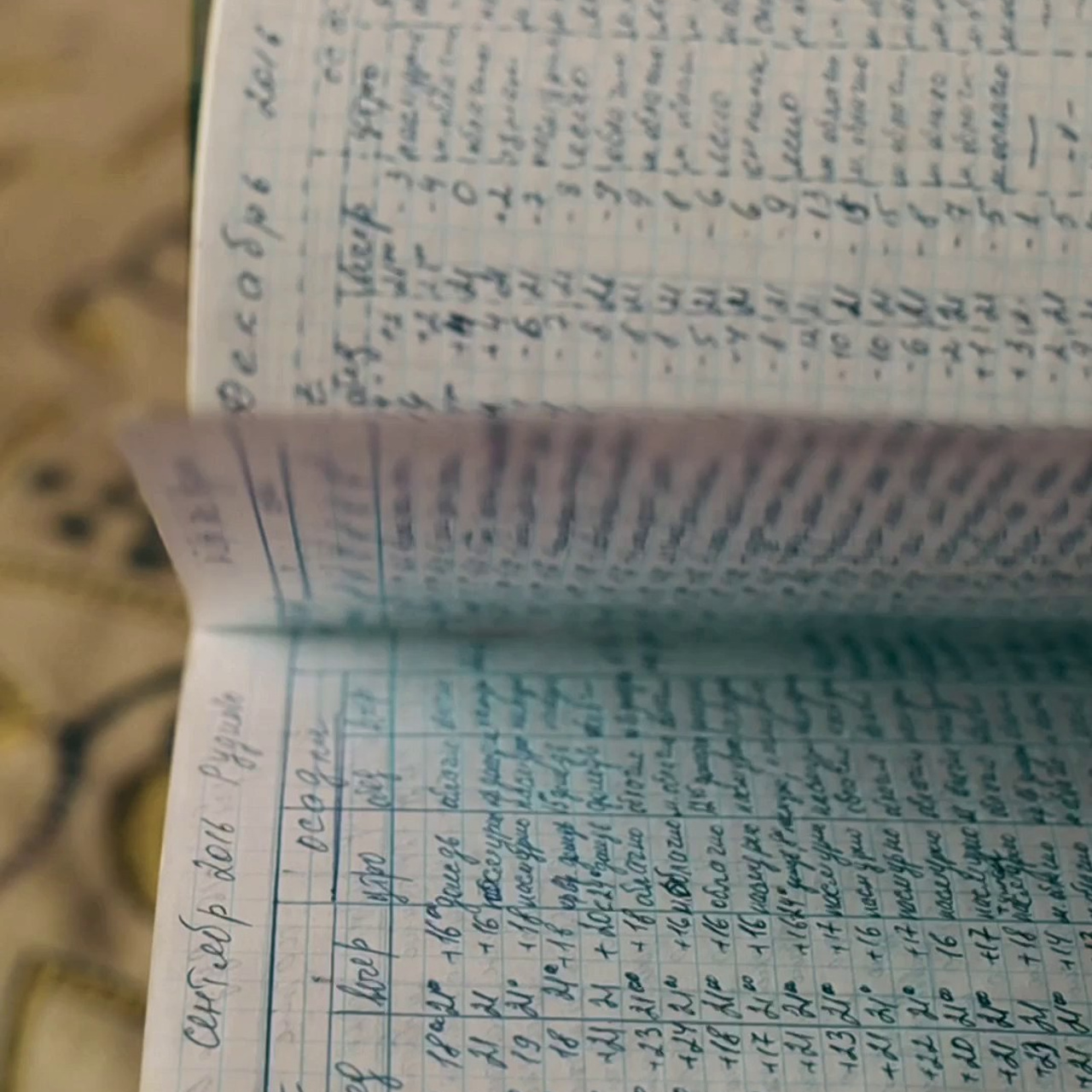 Отзывы. Olia Romicheva ♡ фотограф Фокино / Владивосток / Большой Камень / Находка