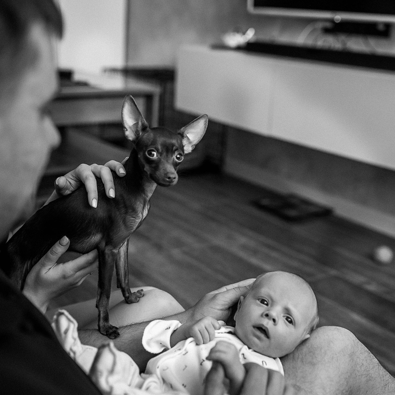 Отзывы. Церковный, семейный и репортажный фотограф Волгоград, Волжский