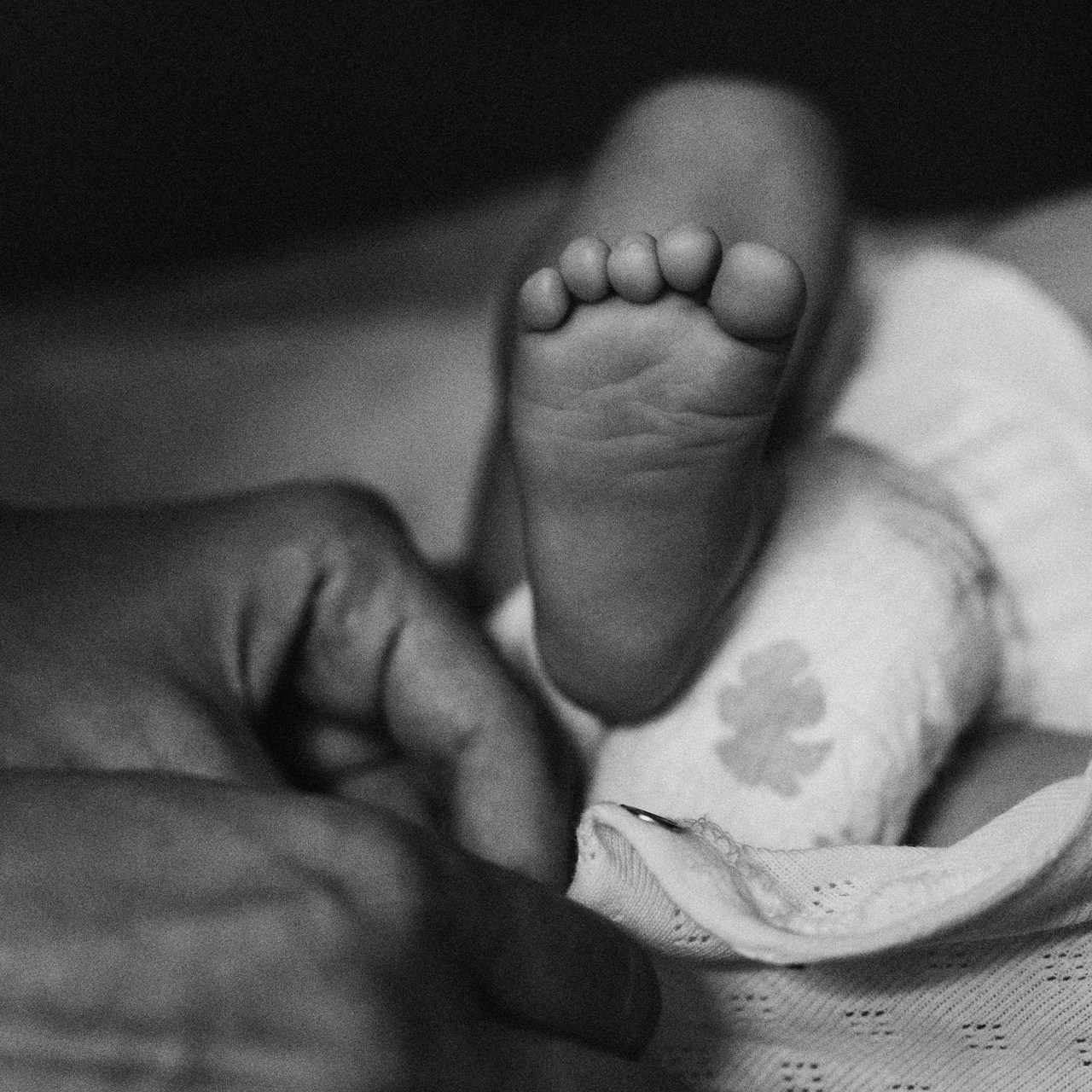 Reviews. Фотограф Ольга Рубцова в Москве и Московской области