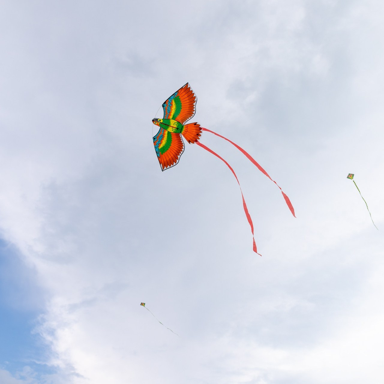 Отзывы. Семейный и портретный фотограф в Геленджике Любовь Бодрова