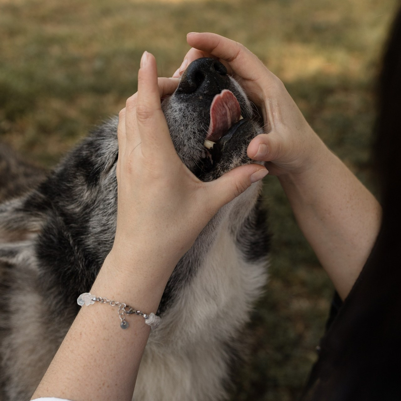 Отзывы. Свадебный фотограф в Ростове-на-Дону и Азове Малявка Анастасия