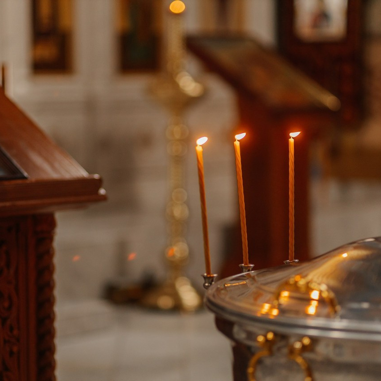 Отзывы. Свадебный фотограф в Ростове-на-Дону и Азове Малявка Анастасия