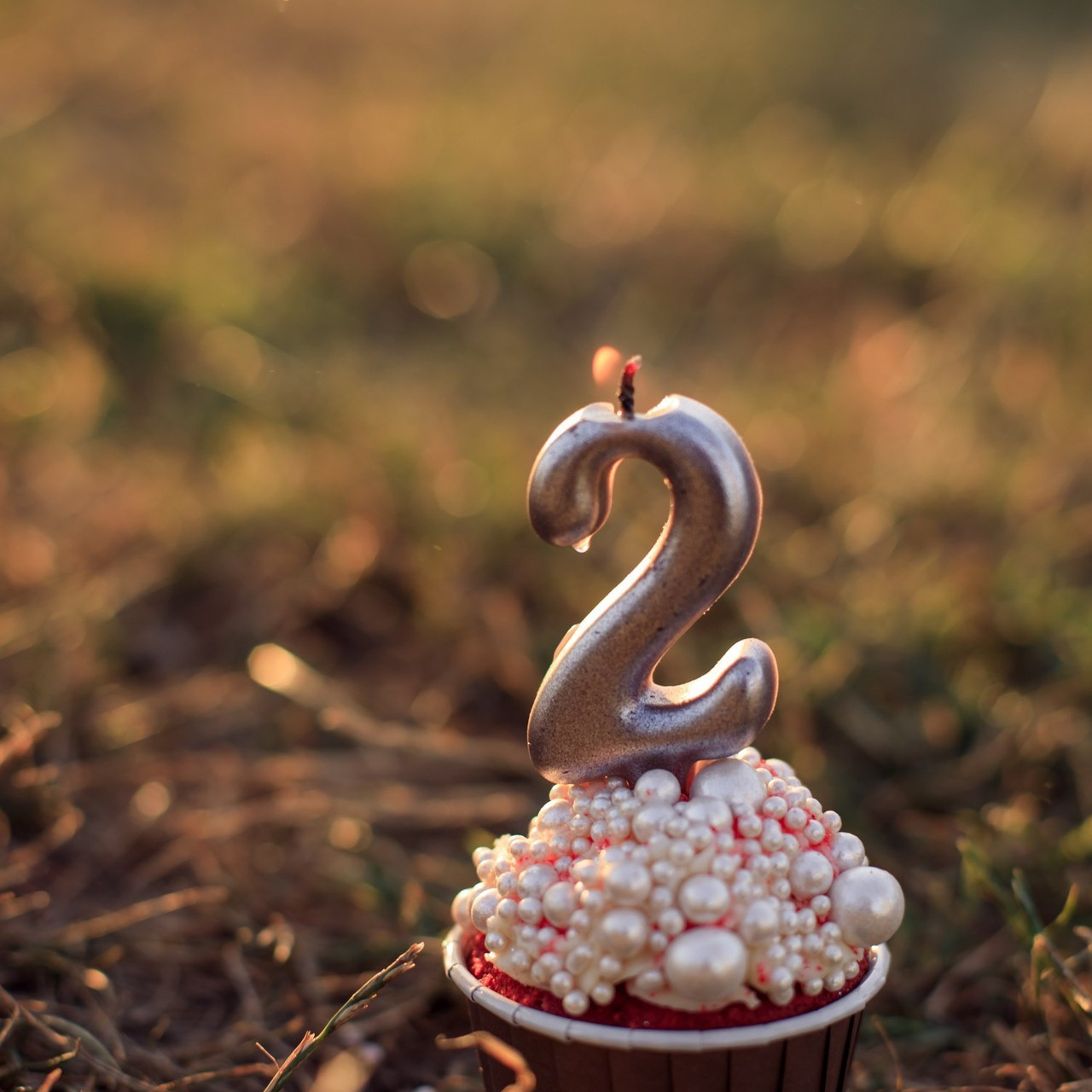 Отзывы. Семейный фотограф в Тбилисском районе Наталия Батина