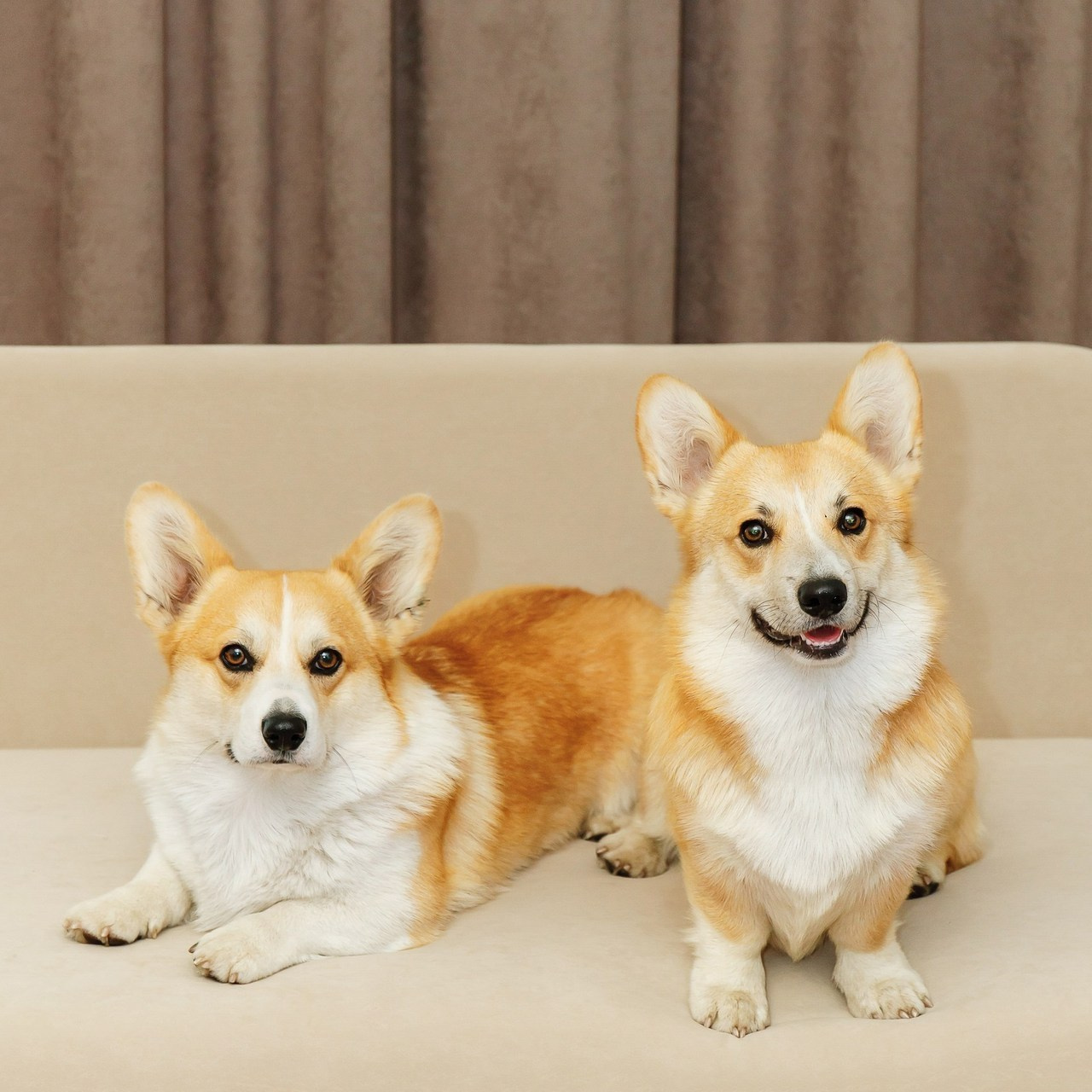 Отзывы. Алла Шевченко — продюсер — наставник