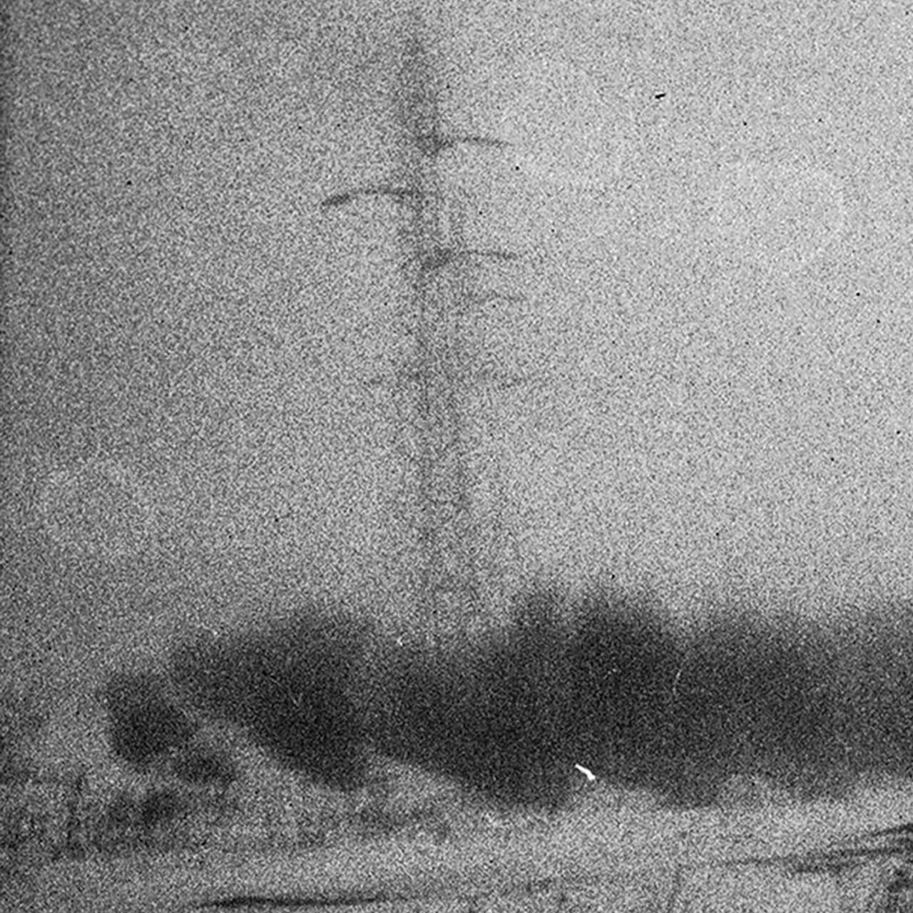 Образование