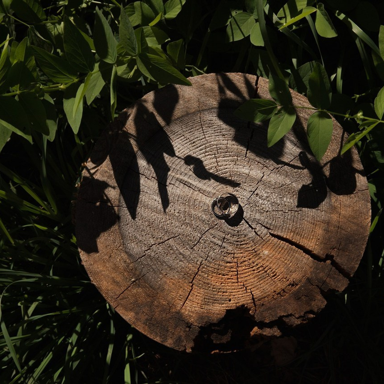 Отзывы. Свадебный и портретный фотограф в Москве Мария Кравченко