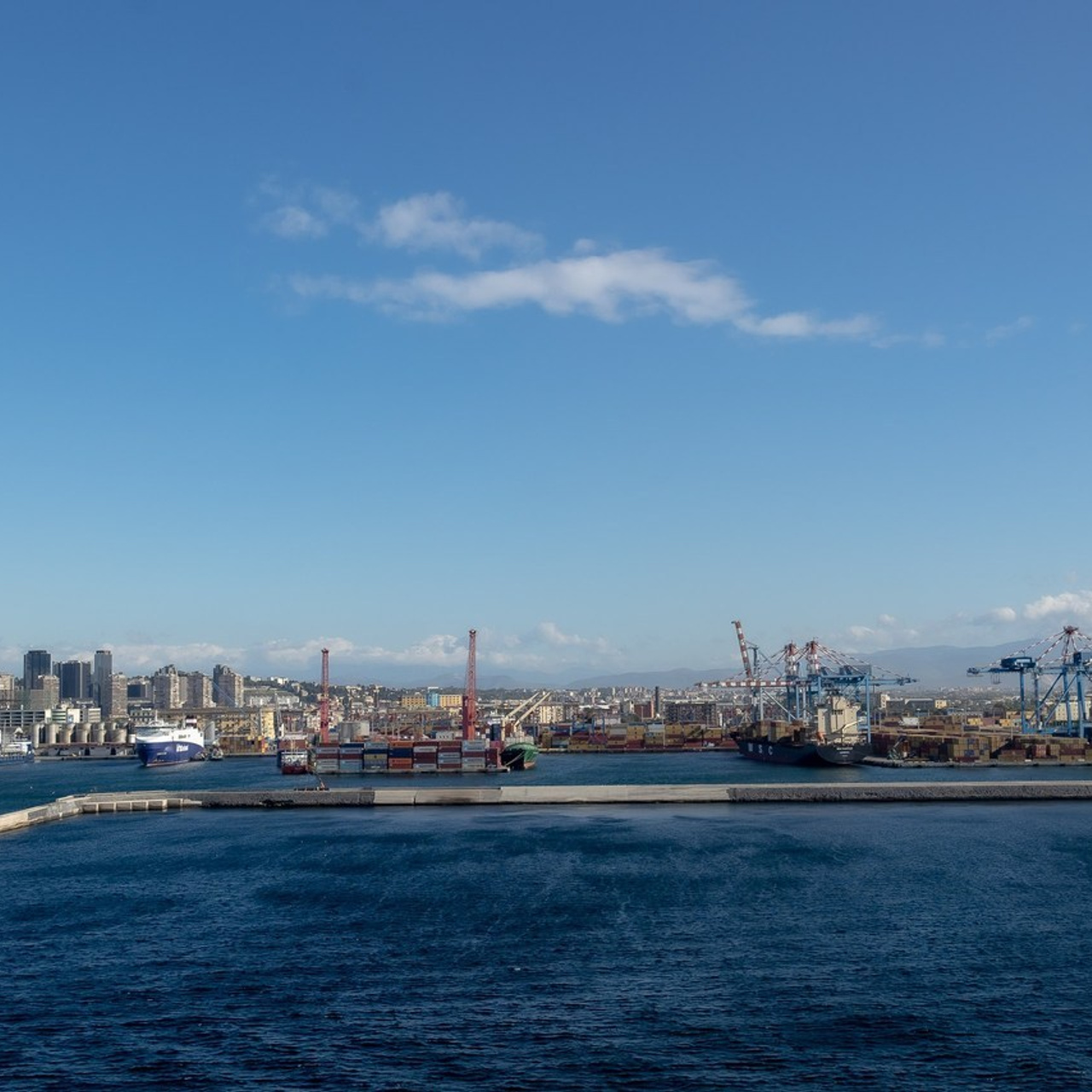 Отзывы. Фотограф в Санкт-Петербурге Писарева Юлия