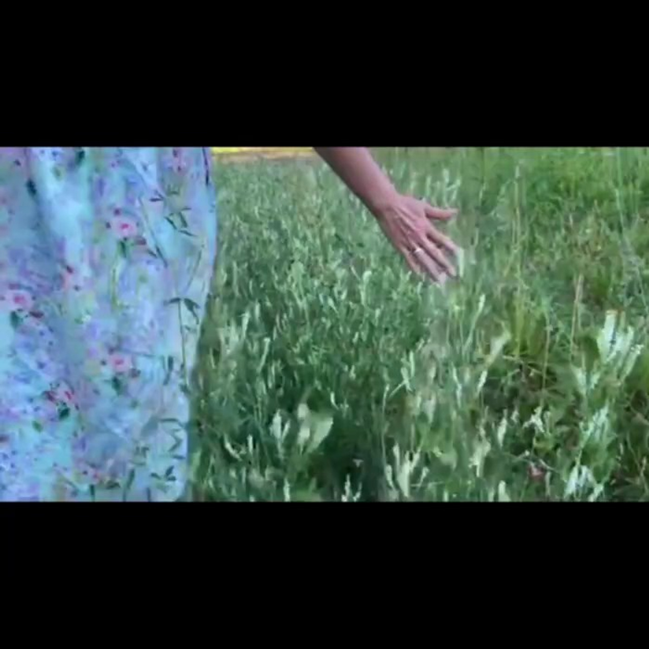 Отзывы. Детский и семейный фотограф в Москве Мария Сережкина