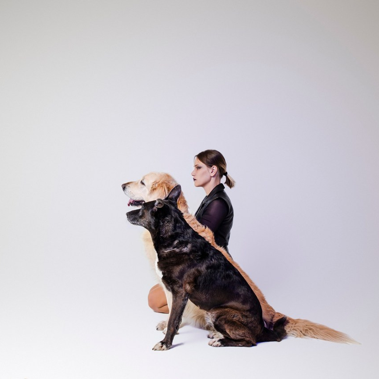 Отзывы фотограф-анималист Анастасия Белаш. Анастасия Белаш