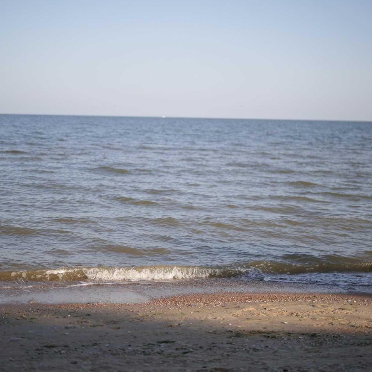 Отзывы. Профессиональный фотограф в Рязани и Москве Бабкин Алексей