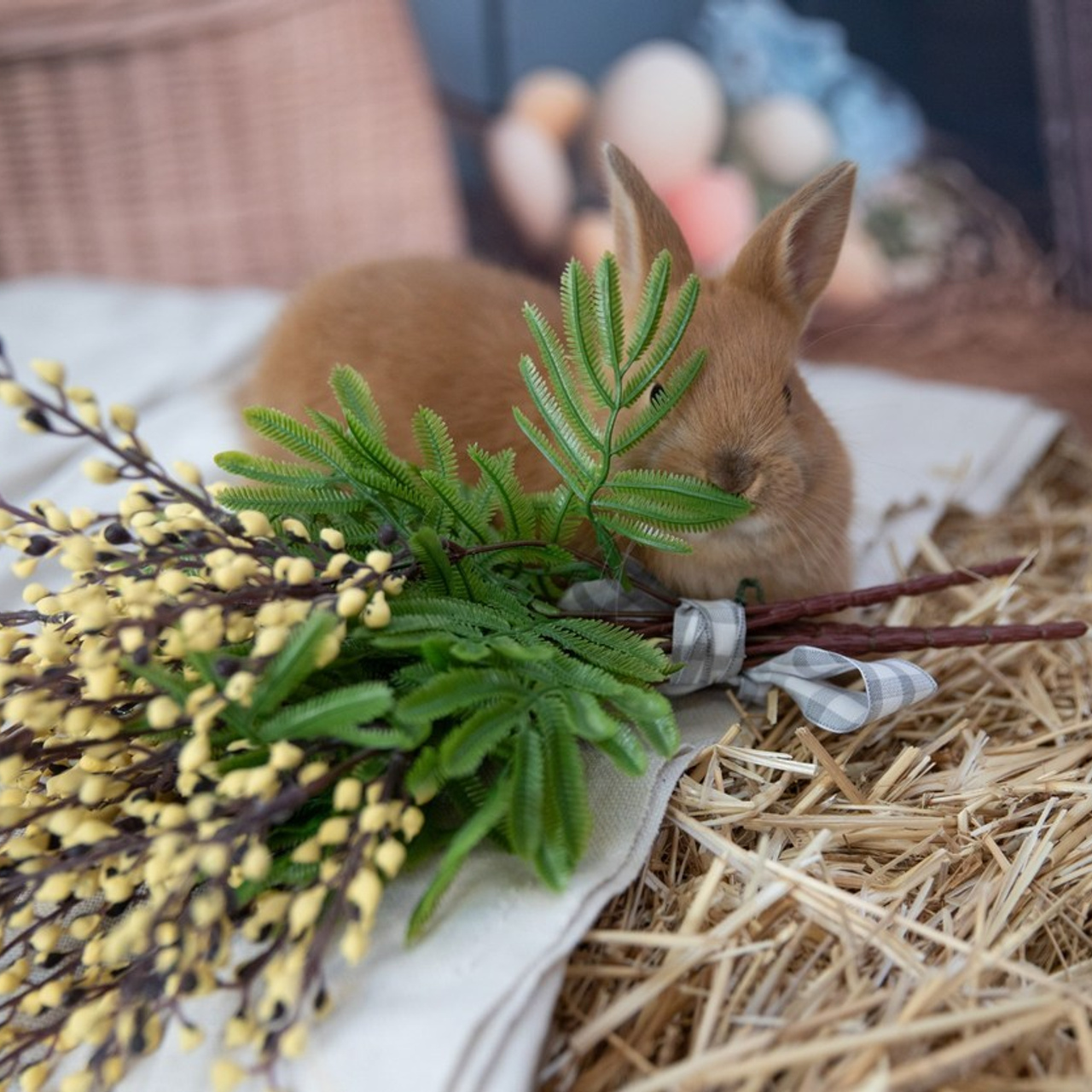 Отзывы. Лучший фотограф Краснодара (по версии моей мамы)