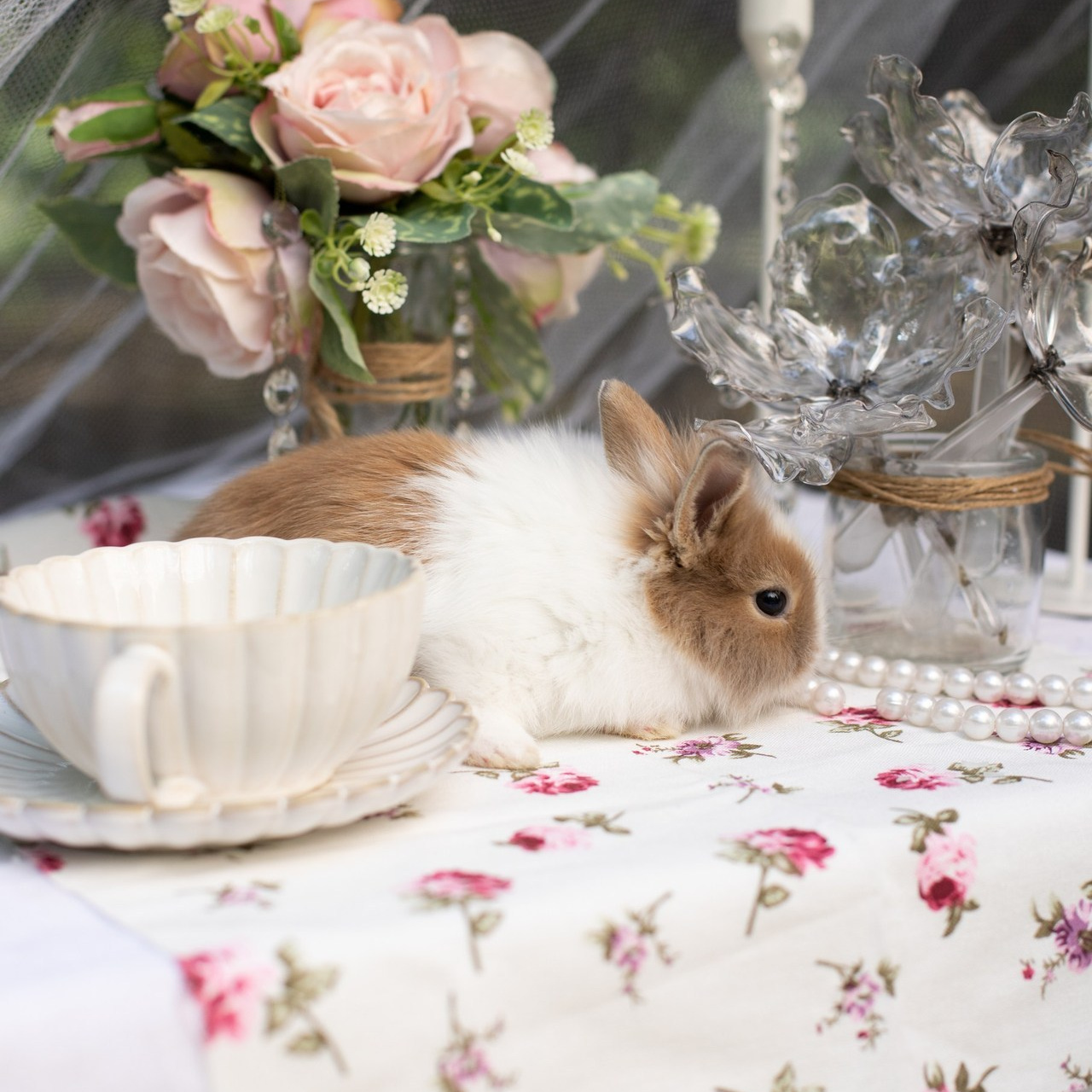 Отзывы. Лучший фотограф Краснодара (по версии моей мамы)