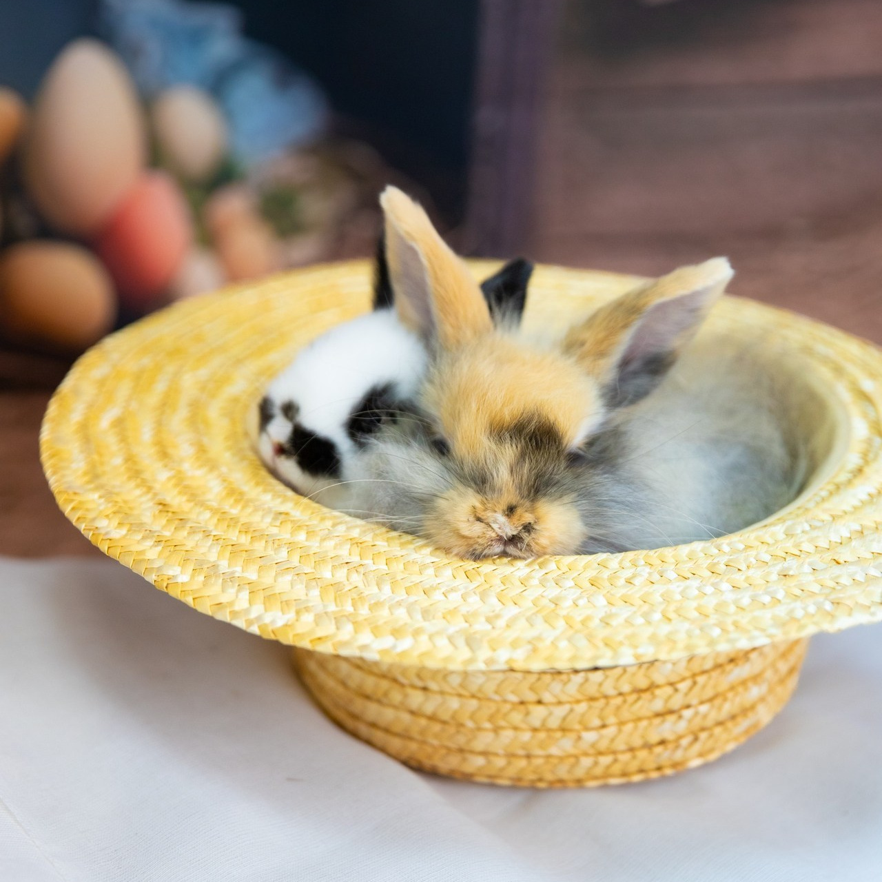 Отзывы. Лучший фотограф Краснодара (по версии моей мамы)