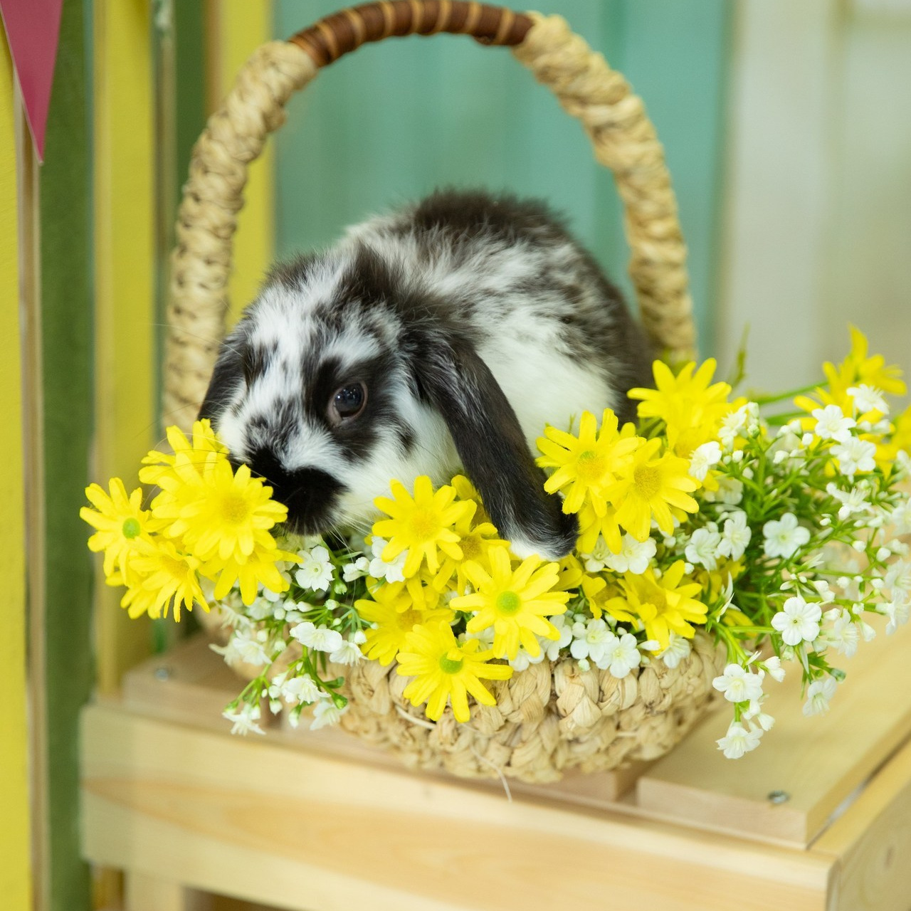 Отзывы. Лучший фотограф Краснодара (по версии моей мамы)