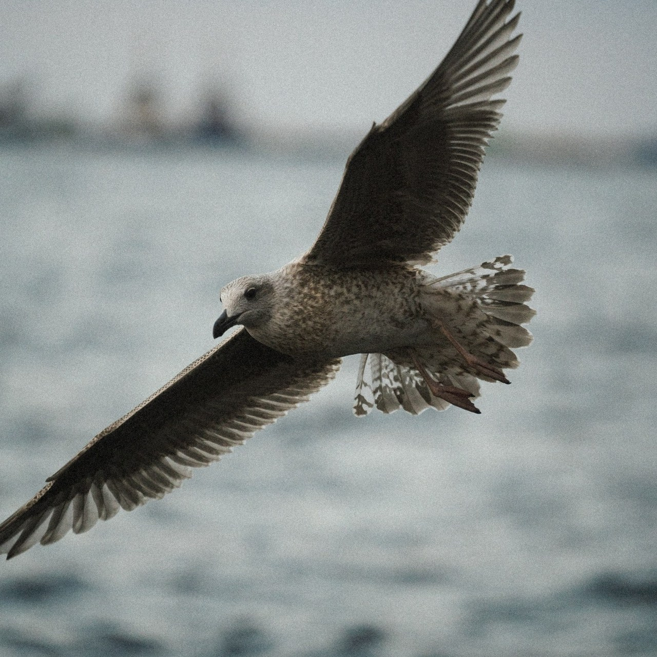 Отзывы. Zekons. Фото, видео, нейросети