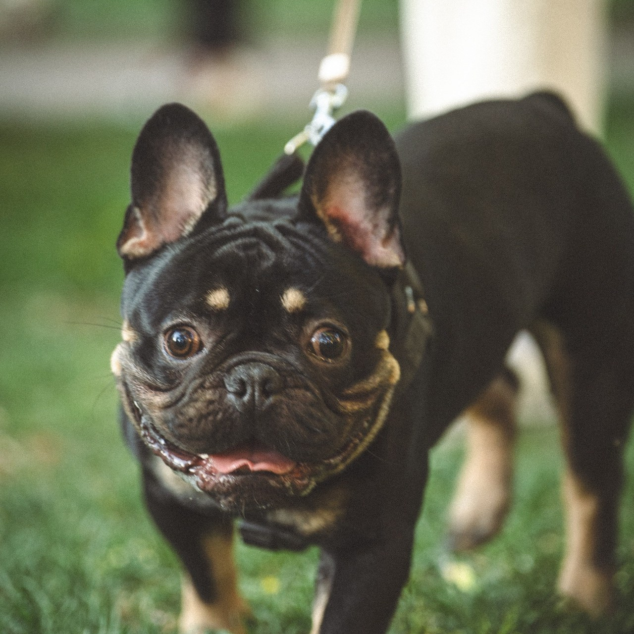 Отзывы. Zekons. Фото, видео, нейросети