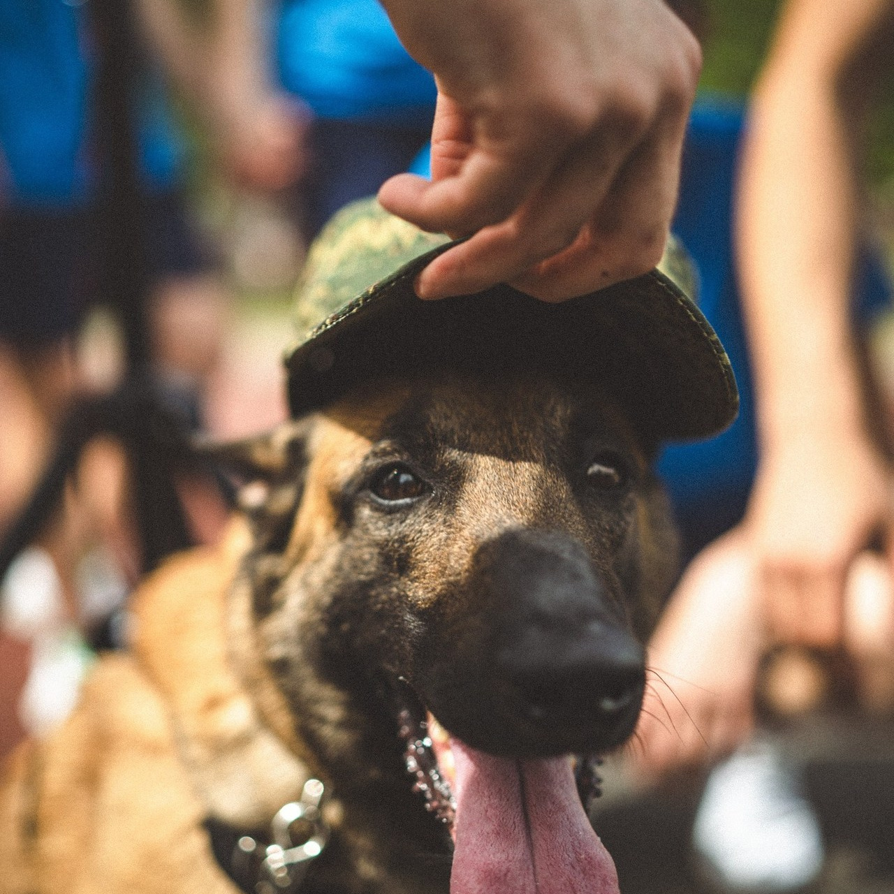 Отзывы. Zekons. Фото, видео, нейросети