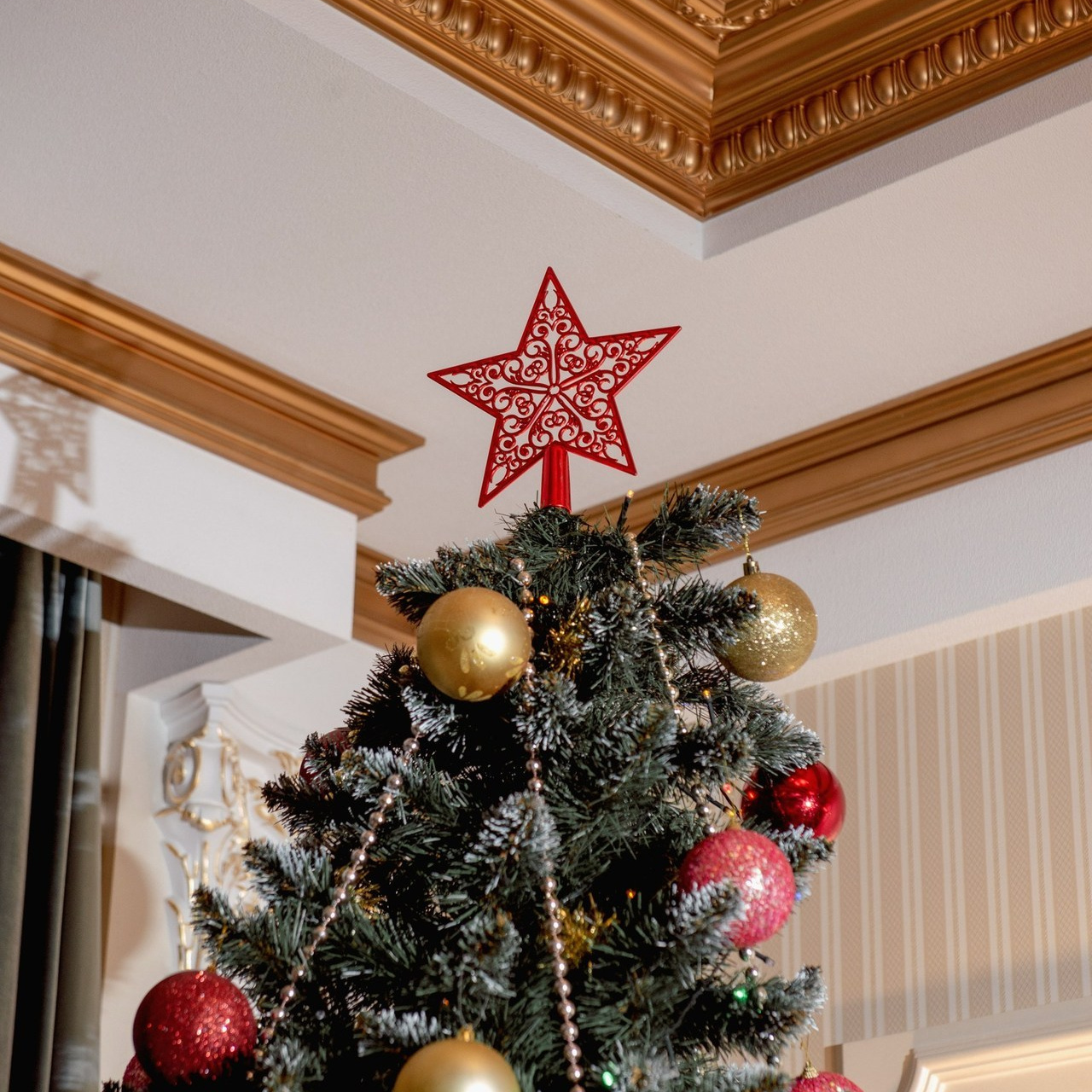 Отзывы. Семейный фотограф в Новочеркасске Виктория Громова