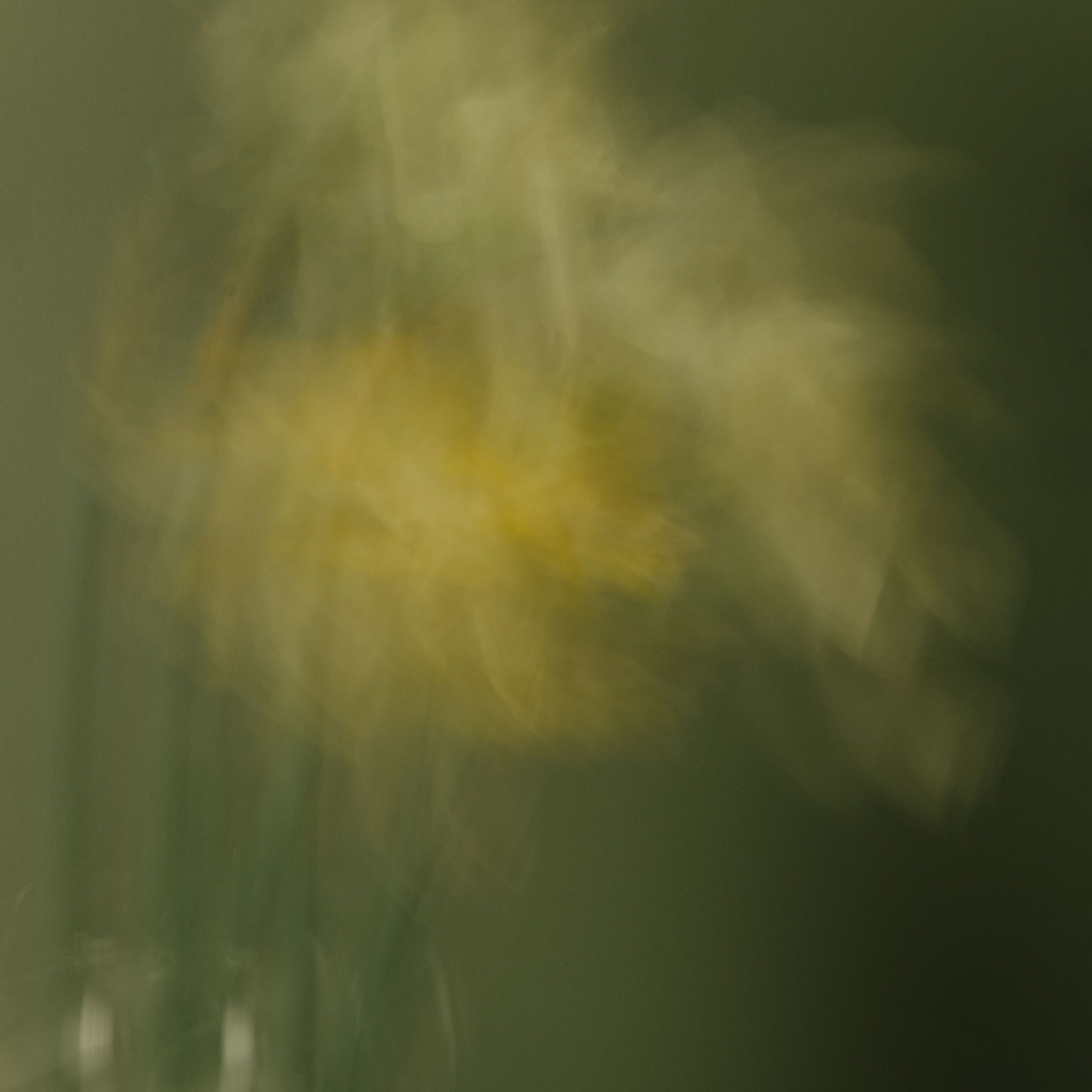 #3, серия "Нарциссы", цифровая печать, ограниченный тираж, 2025